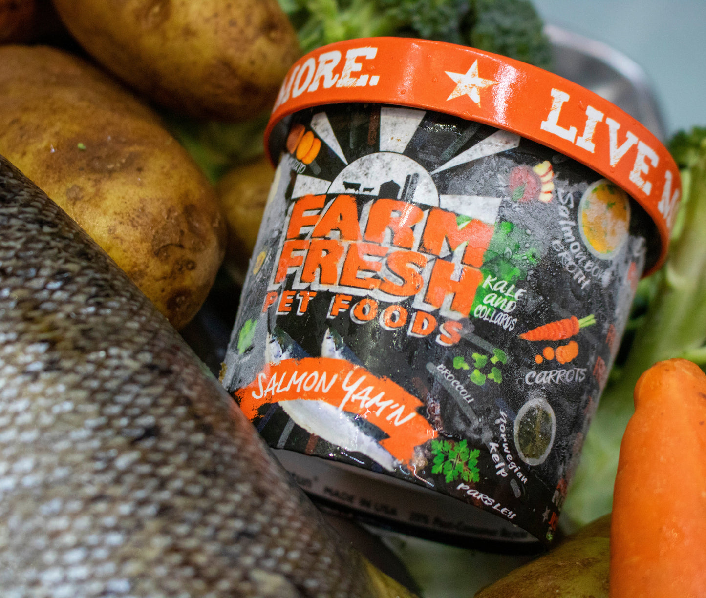 Canine | Salmon Yam'n